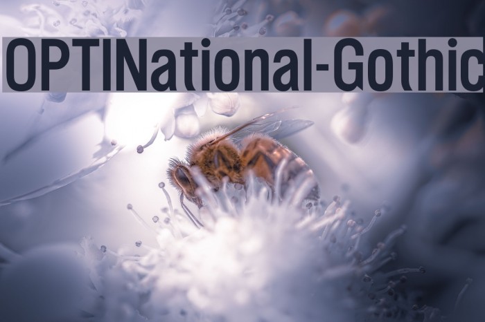 OPTINational-Gothic Font examples