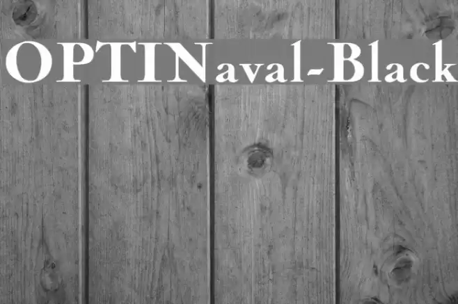 OPTINaval-Black Font examples