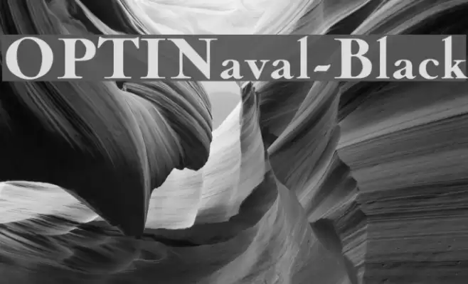 OPTINaval-Black Font examples