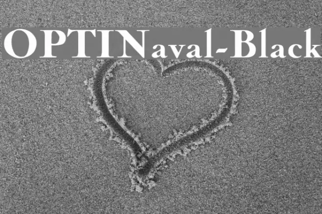 OPTINaval-Black Font examples