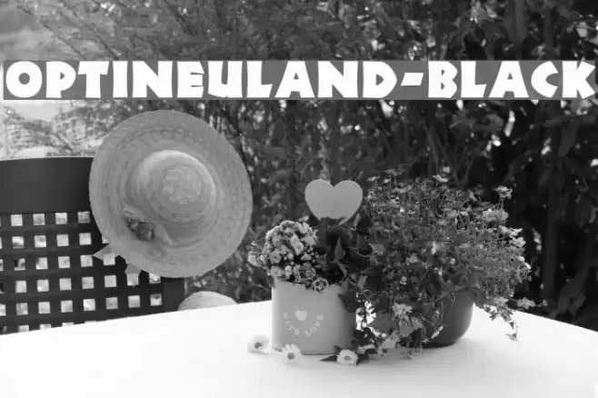 OPTINeuland-Black Font examples
