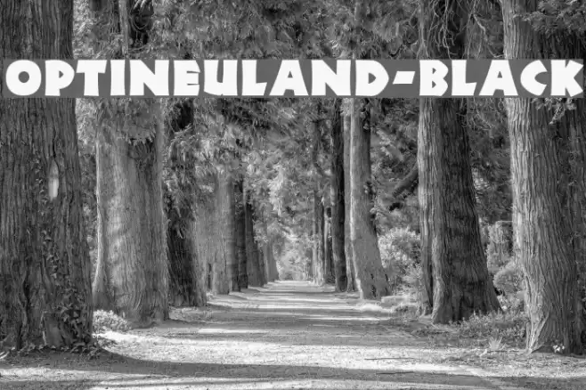 OPTINeuland-Black Font examples