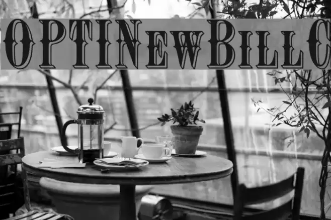 OPTINewBillC Font examples