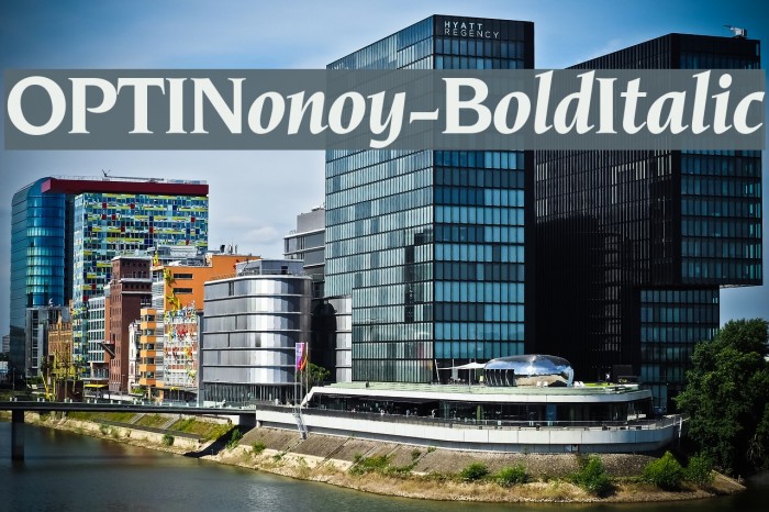 OPTINonoy-BoldItalic Font examples