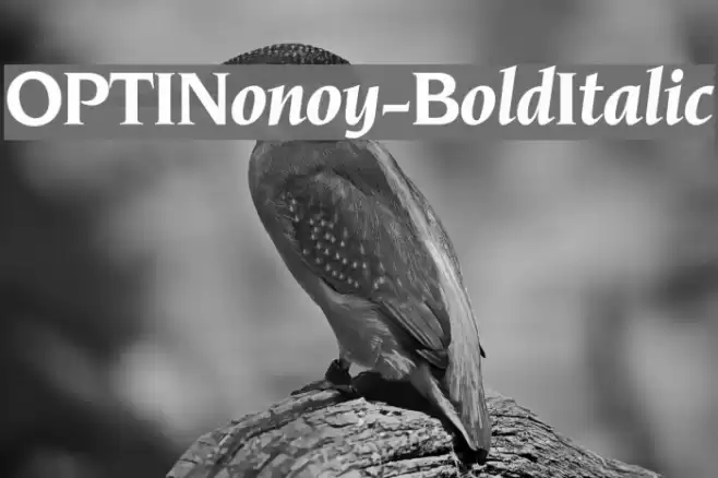 OPTINonoy-BoldItalic Font examples