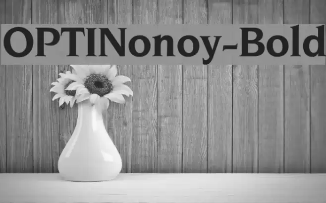 OPTINonoy-Bold Font examples