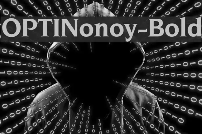 OPTINonoy-Bold Font examples