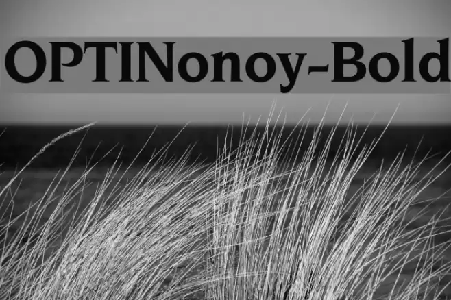 OPTINonoy-Bold Font examples