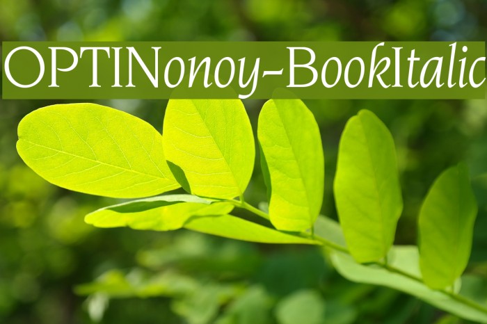 OPTINonoy-BookItalic Font examples