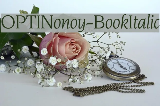 OPTINonoy-BookItalic Example 3