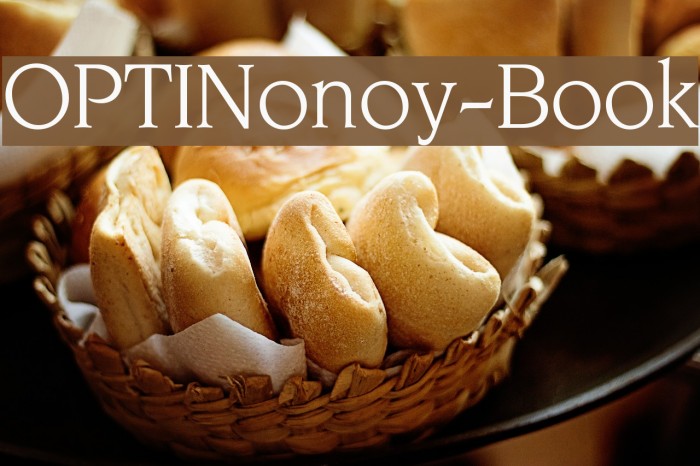 OPTINonoy-Book لخطوط تنزيل examples