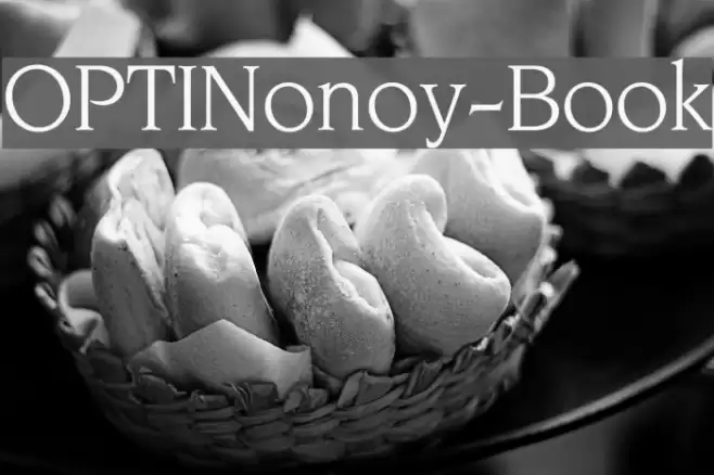 OPTINonoy-Book Font examples