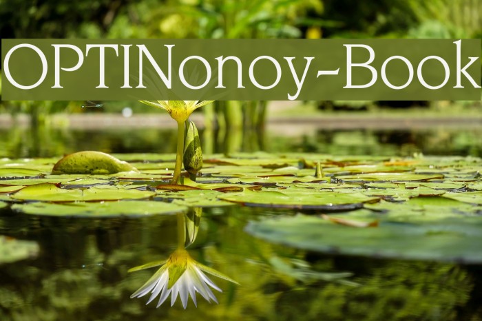 OPTINonoy-Book لخطوط تنزيل examples
