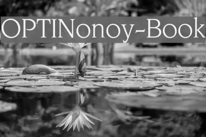 OPTINonoy-Book Font examples