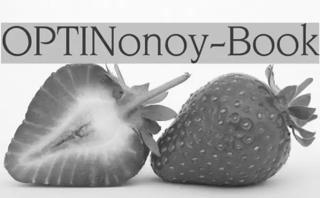 OPTINonoy-Book Font examples