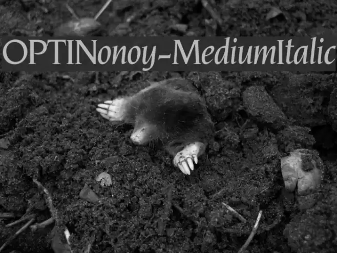 OPTINonoy-MediumItalic Font examples