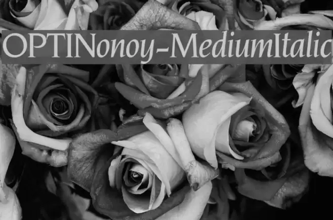 OPTINonoy-MediumItalic Font examples