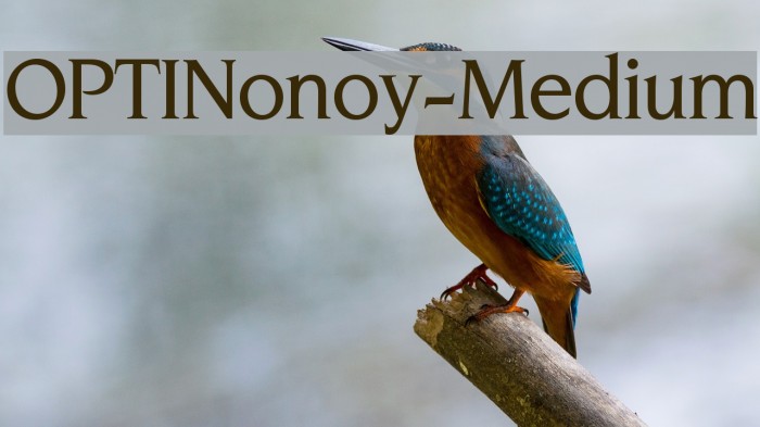 OPTINonoy-Medium Fuentes examples