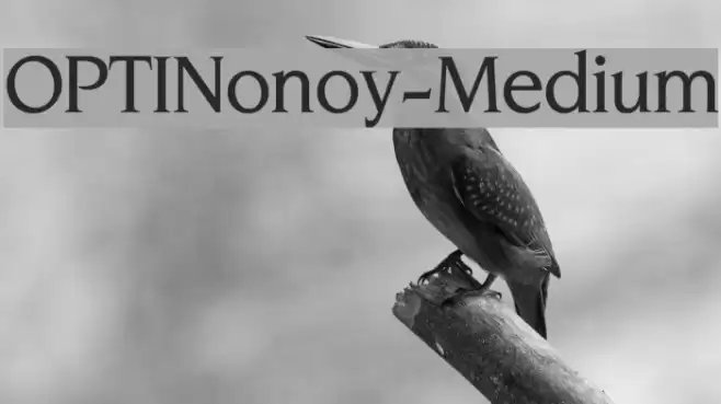 OPTINonoy-Medium Fuentes examples
