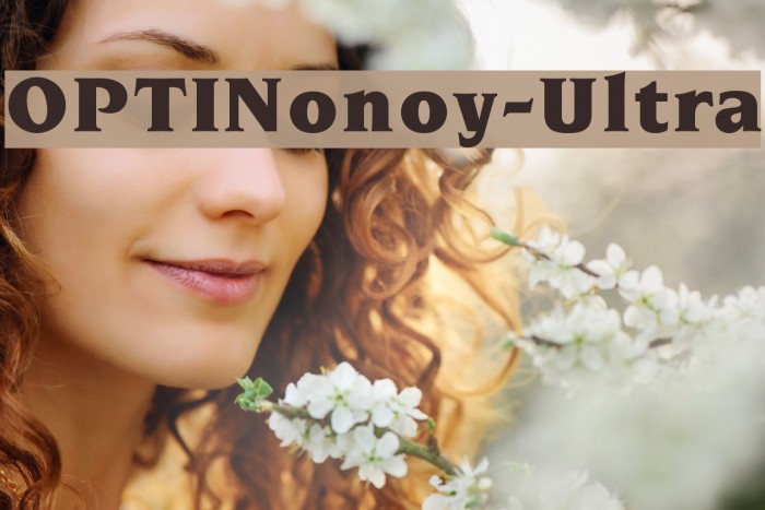 OPTINonoy-Ultra Font examples