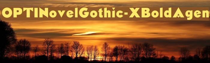 OPTINovelGothic-XBoldAgen Font examples