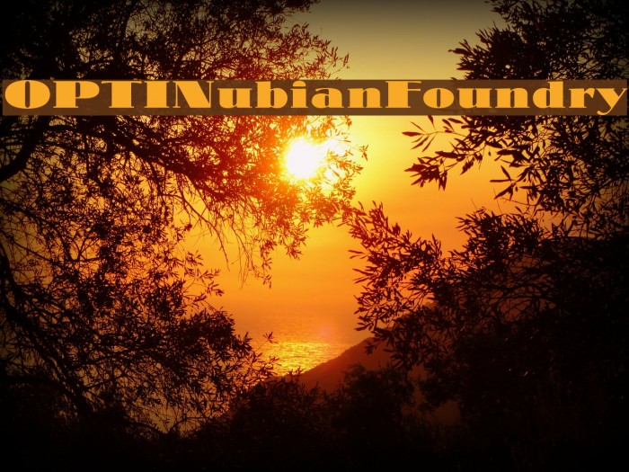 OPTINubianFoundry Font examples