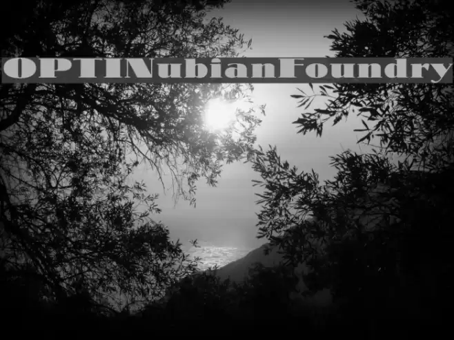 OPTINubianFoundry Fonte examples