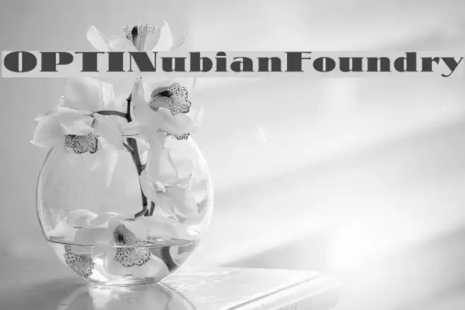 OPTINubianFoundry Fonte examples