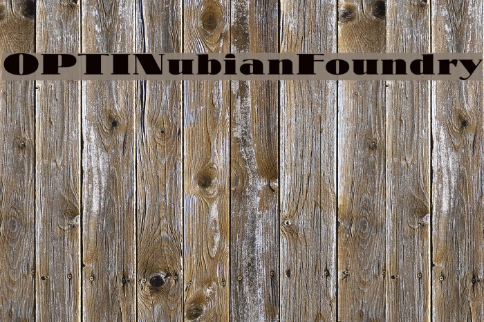 OPTINubianFoundry Font examples