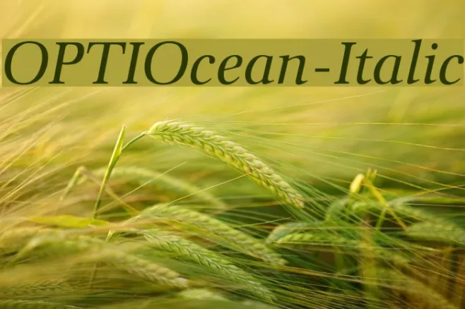 OPTIOcean-Italic Example 3