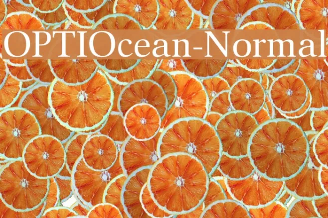 OPTIOcean-Normal Example 1