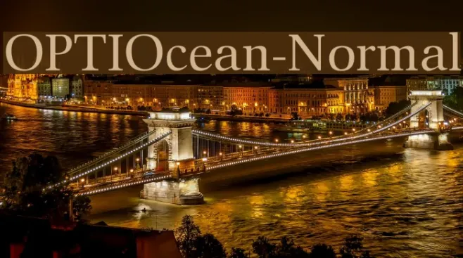 OPTIOcean-Normal Example 2