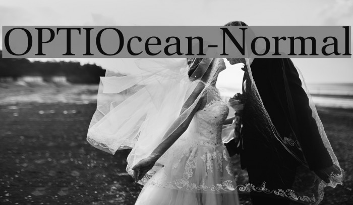 OPTIOcean-Normal Font examples