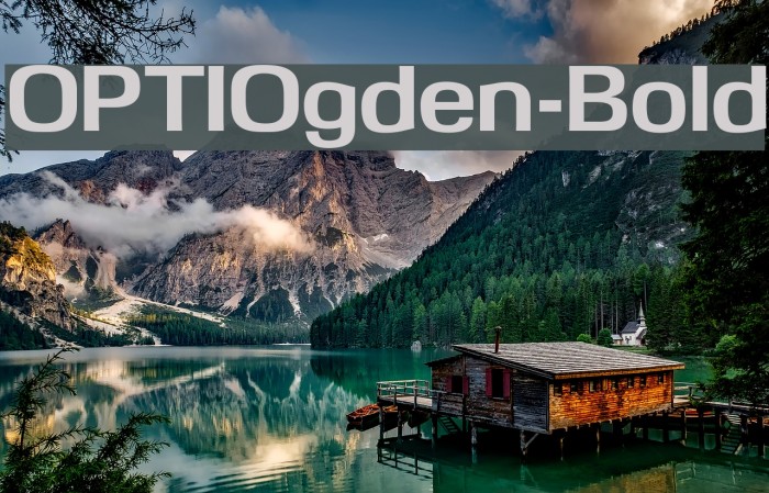 OPTIOgden-Bold Font examples