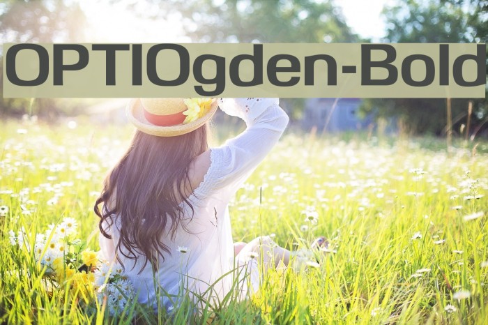 OPTIOgden-Bold Font examples