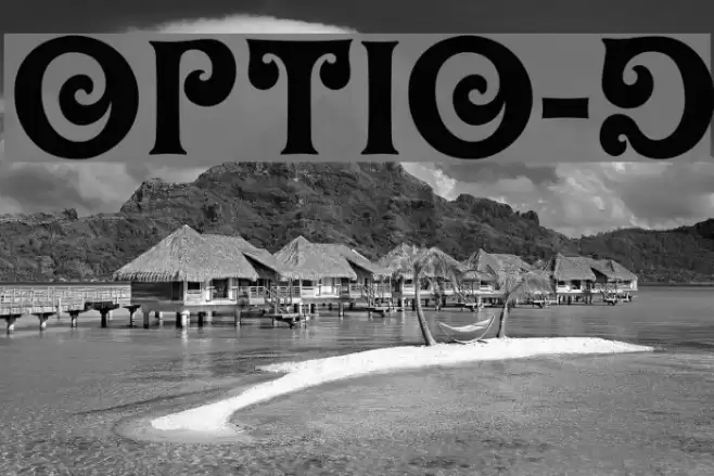 OPTIOliver-Display Font examples