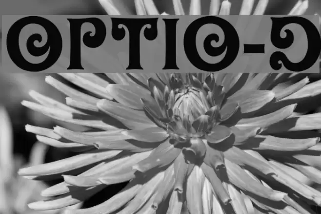 OPTIOliver-Display Font examples