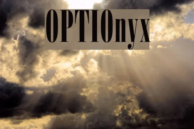 OPTIOnyx Example 1