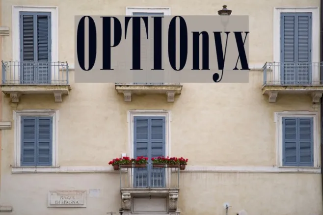 OPTIOnyx Example 2