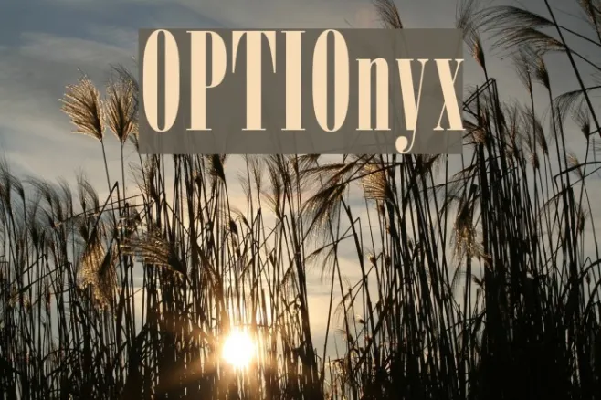 OPTIOnyx Example 3