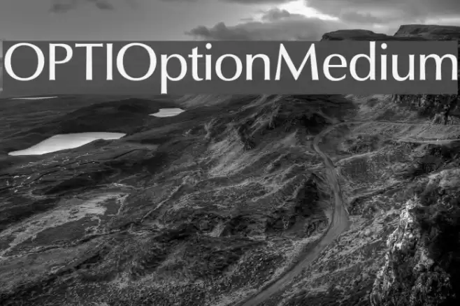 OPTIOptionMedium Font examples