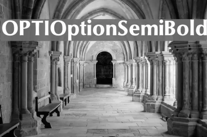 OPTIOptionSemiBold Font examples