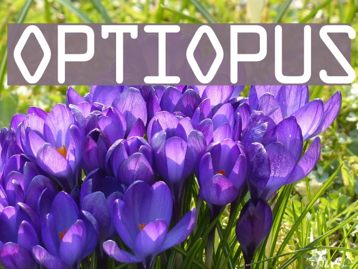 OPTIOpus Fonte examples