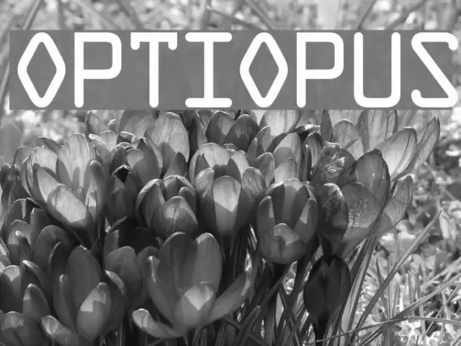 OPTIOpus Fonte examples