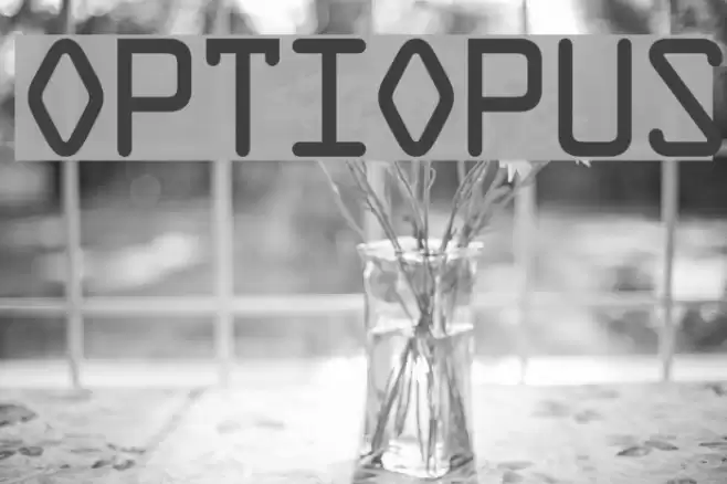 OPTIOpus Fonte examples