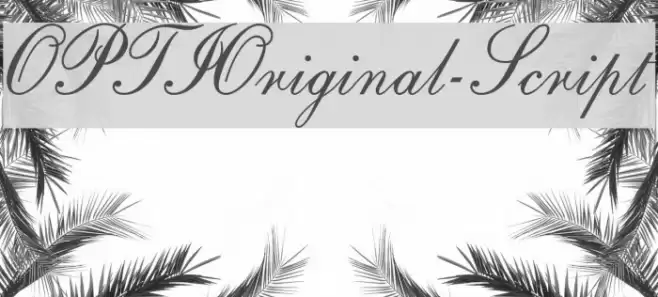 OPTIOriginal-Script Font examples