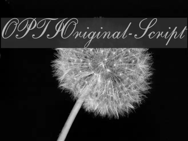 OPTIOriginal-Script Font examples
