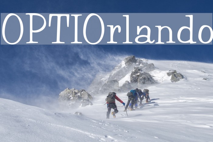 OPTIOrlando Font examples