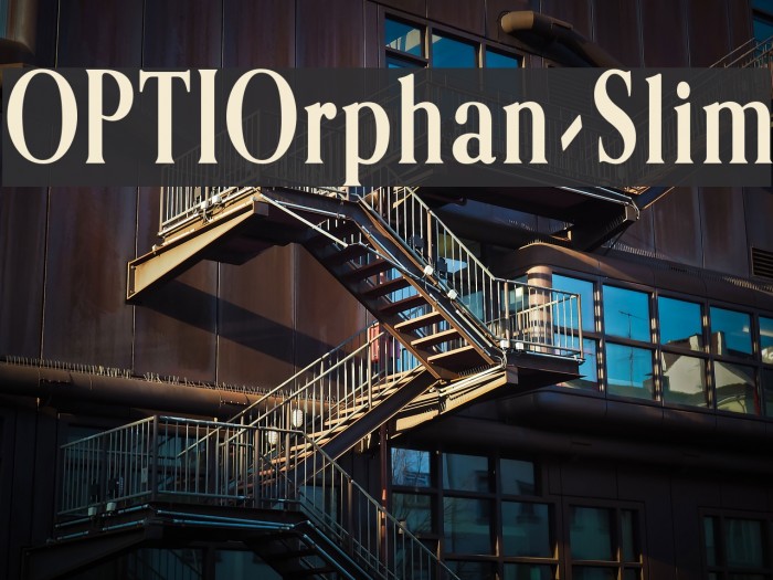 OPTIOrphan-Slim Example 1