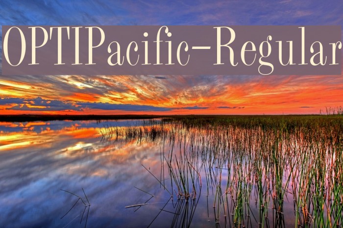 OPTIPacific-Regular Example 1